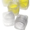 Molde de Vasos de Hielo ibili